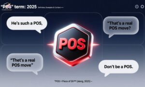 pos-meaning-in-slang-2025-definition-examples-and-context