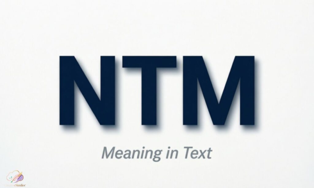 ntm-meaning-in-text