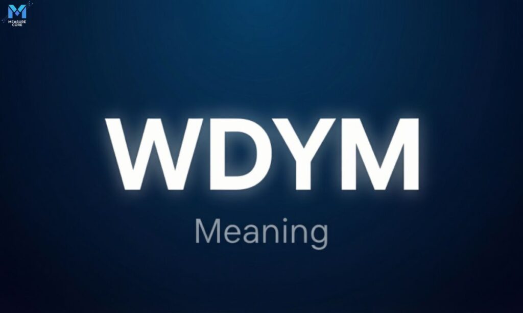 wdym-meaning-in-text