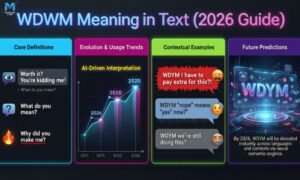 wdym-meaning-in-text-2026-guide